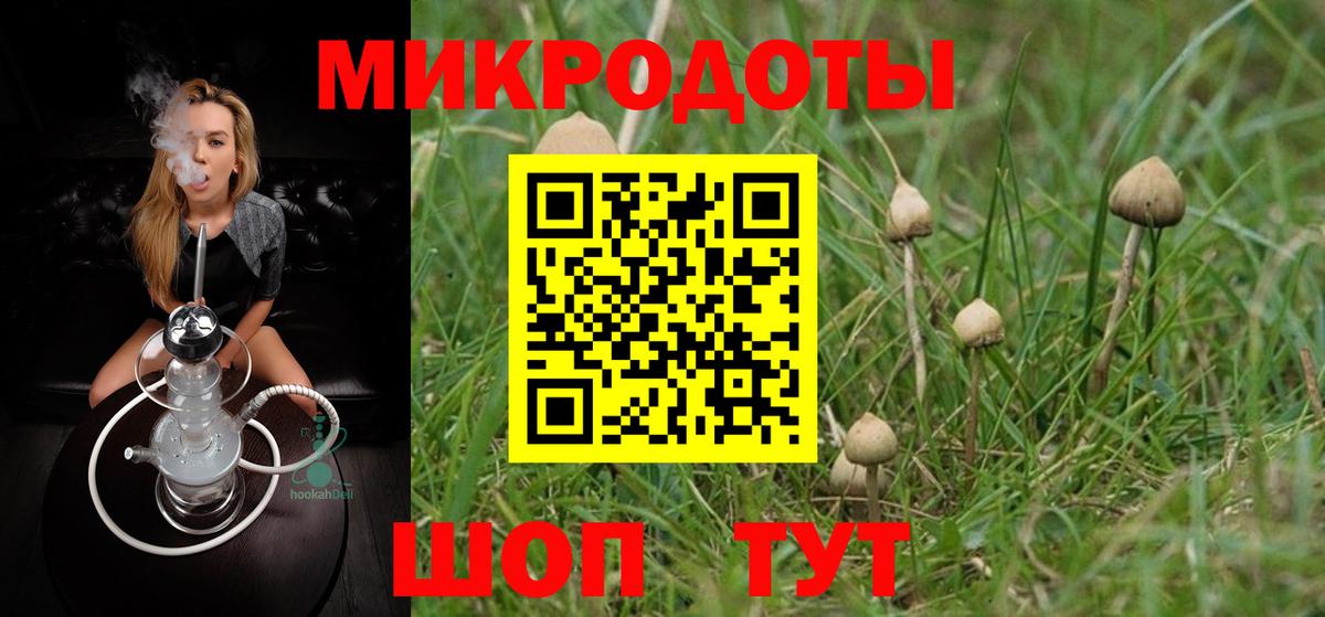 Галлюциногенные грибы ЛСД  где продают наркотики  Галлюциногенные грибы MAGIC MUSHROOMS  Кизилюрт  Вход с VPN 
